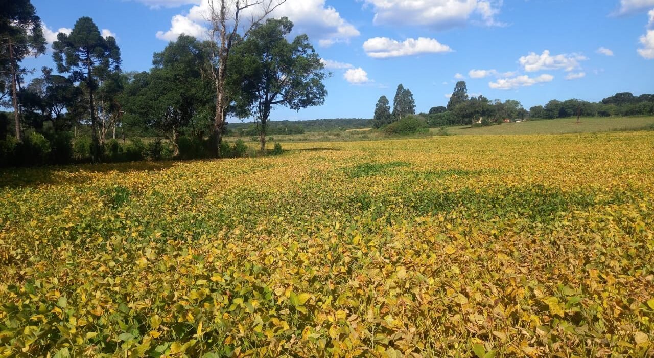 TERRENO RURAL NA VARGEM GRANDE