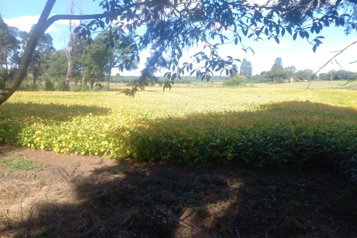 Foto 9