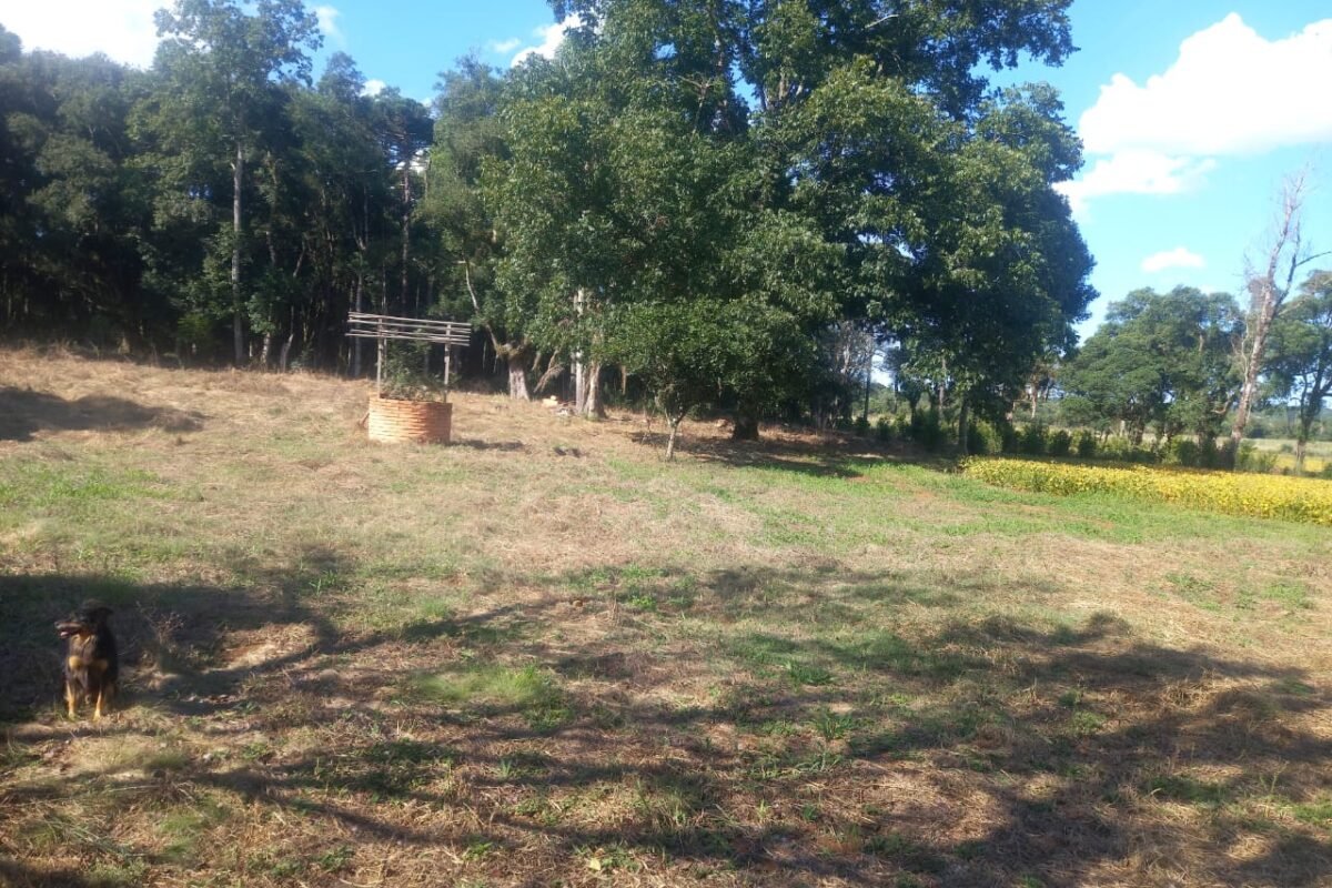 Foto 10